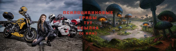 первитин Армянск
