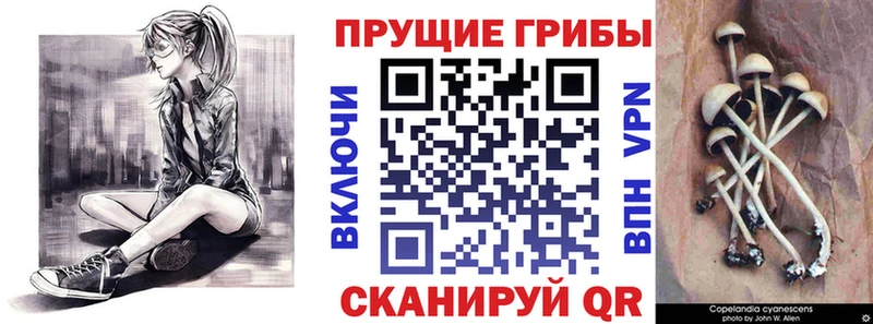 Псилоцибиновые грибы Magic Shrooms  Купить  Чернушка 